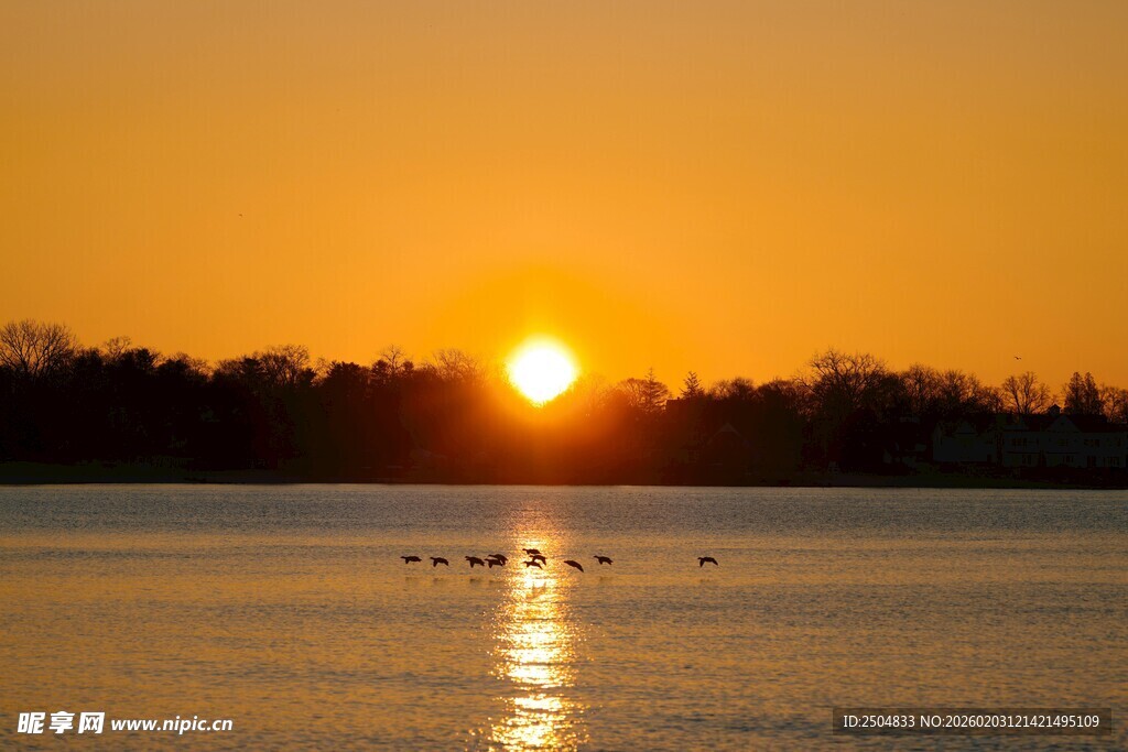 夕阳下宁静湖面飞鸟景象