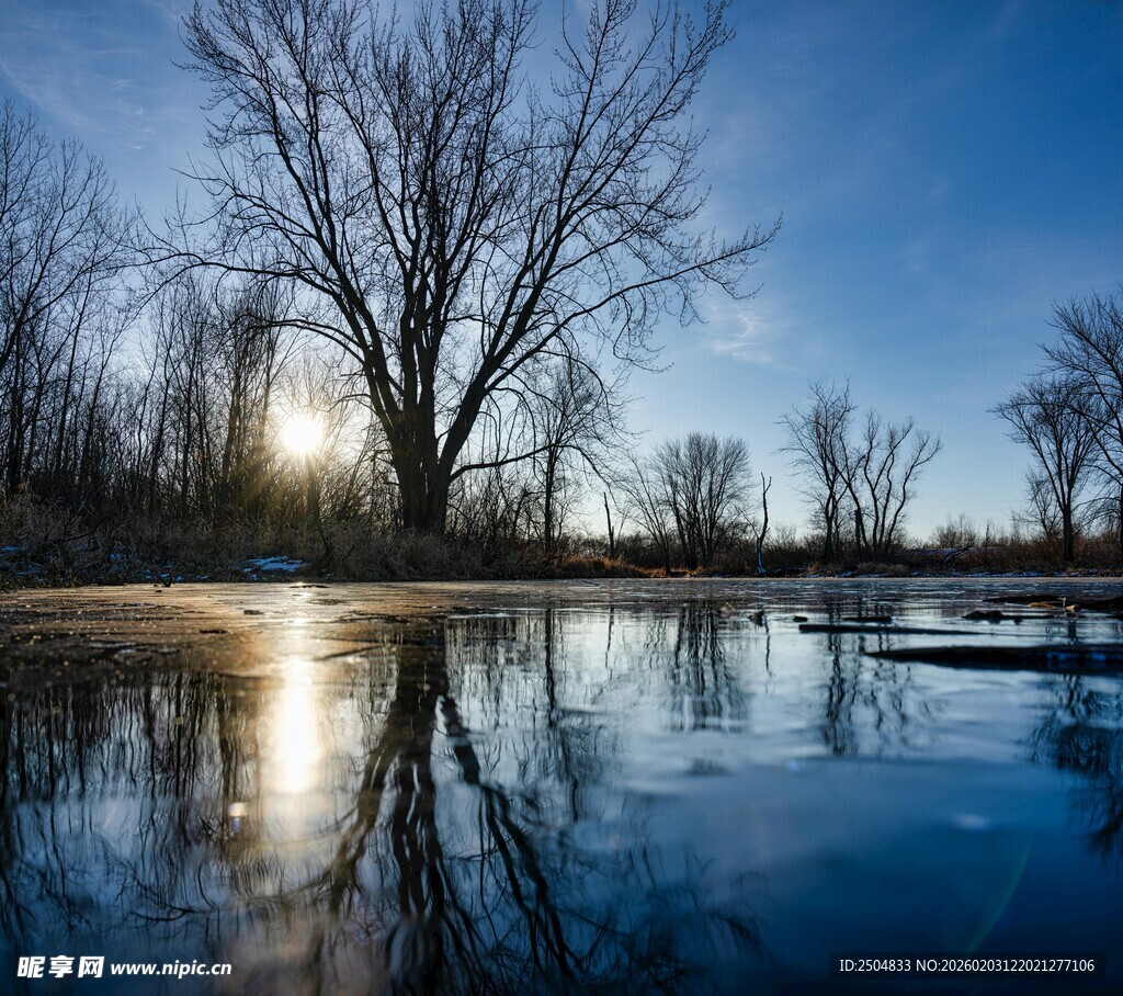 冬日河畔静谧风光