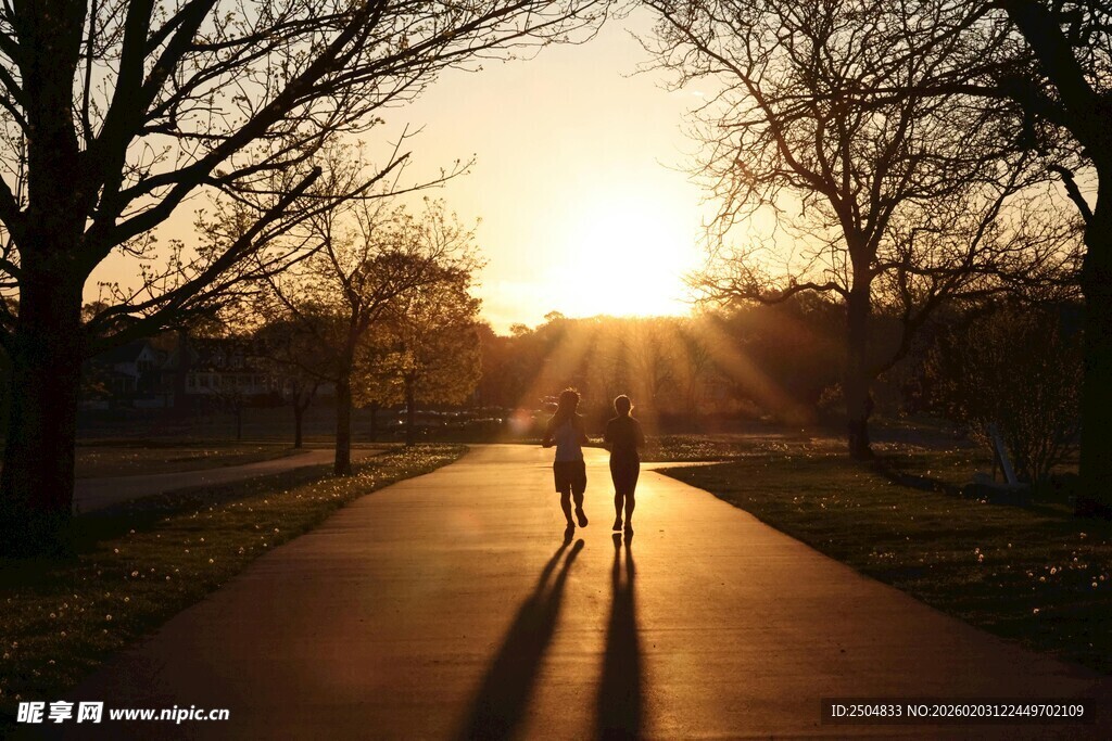 夕阳下情侣漫步林间小道