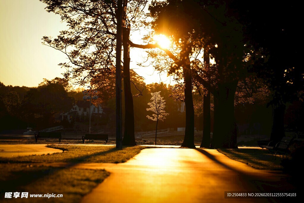 夕阳下的林间小道