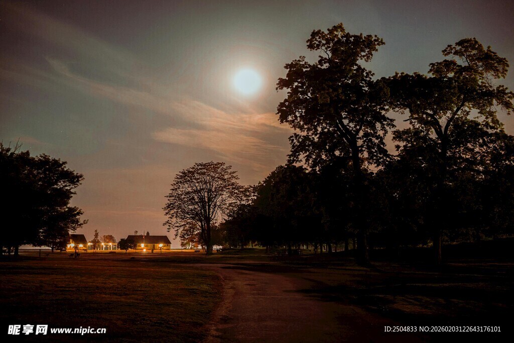月夜下的林间小路