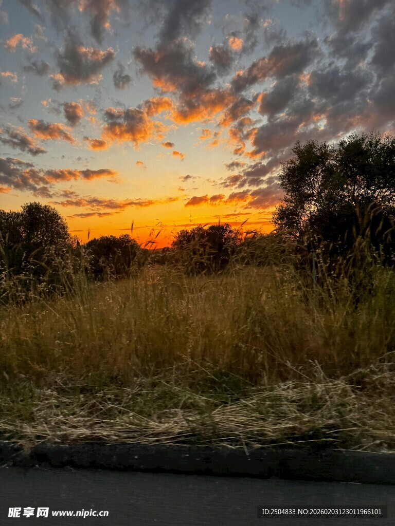 日落时分的田野风光