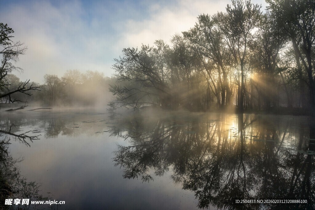 晨雾中的湖畔树木美景