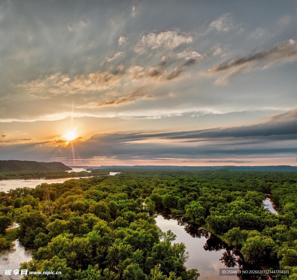 日落时分的茂密森林景观