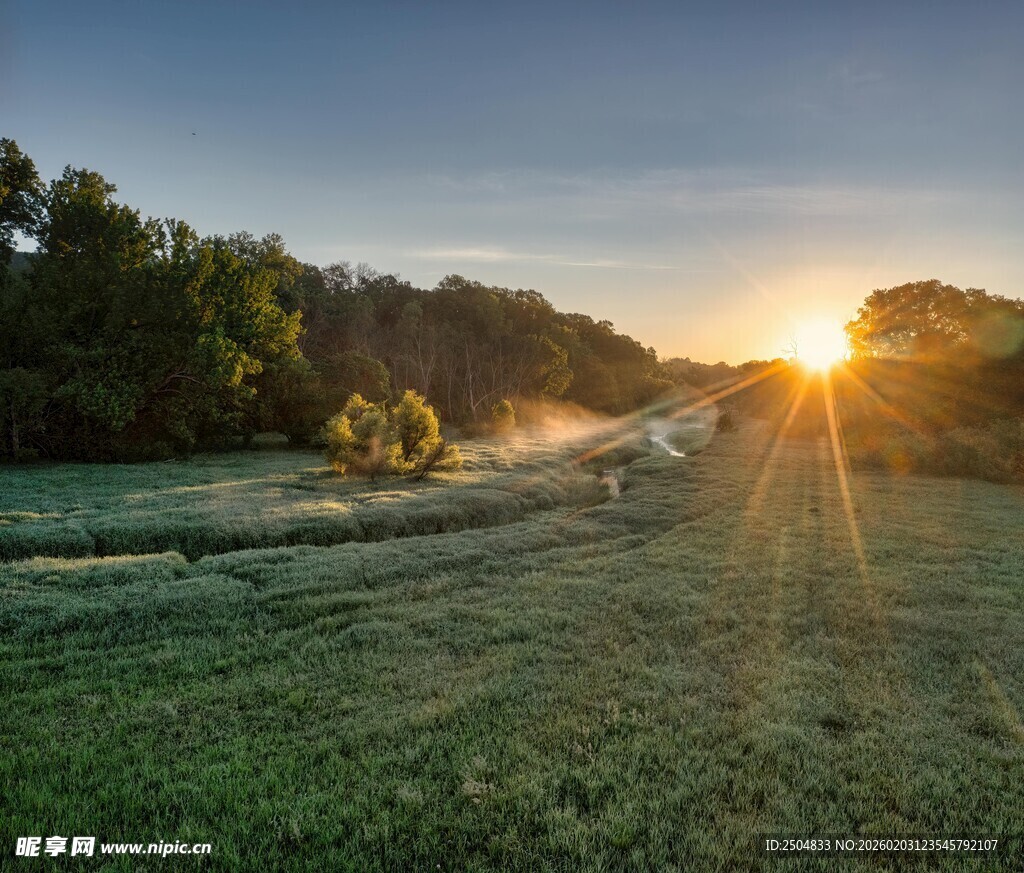 日出时分的田野美景