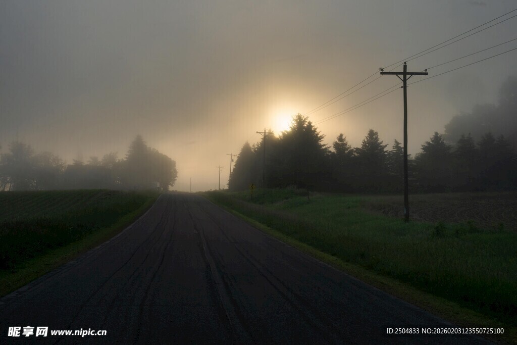 雾中公路 晨光与树木之景