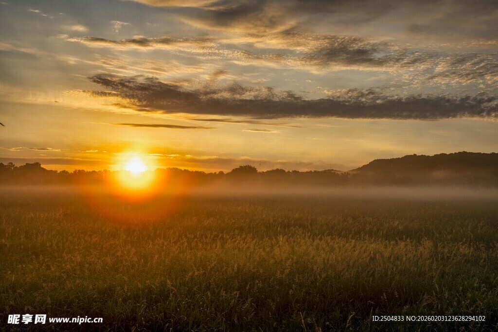 田野上的绝美日出景象