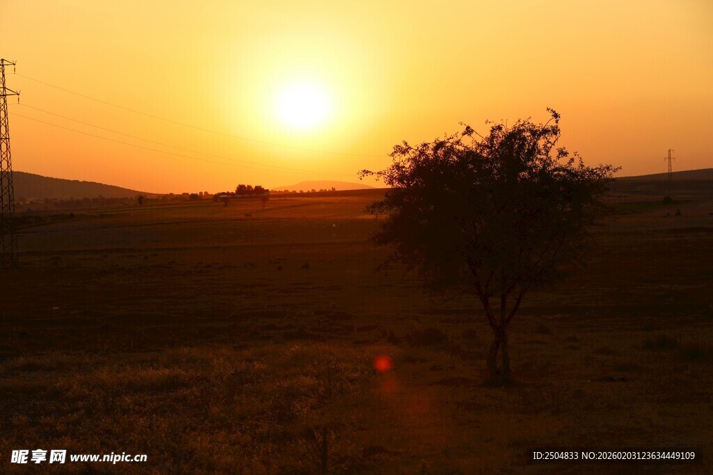 夕阳下的孤树与旷野