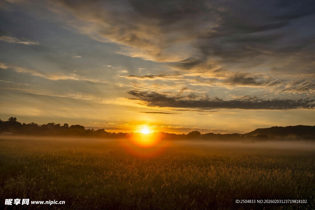 日出时分的田野美景