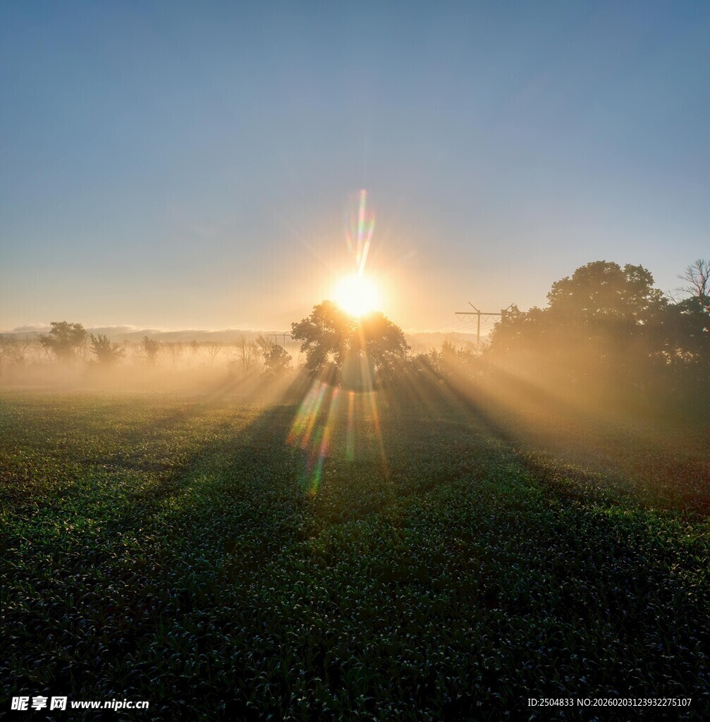 晨雾中田野的日出美景