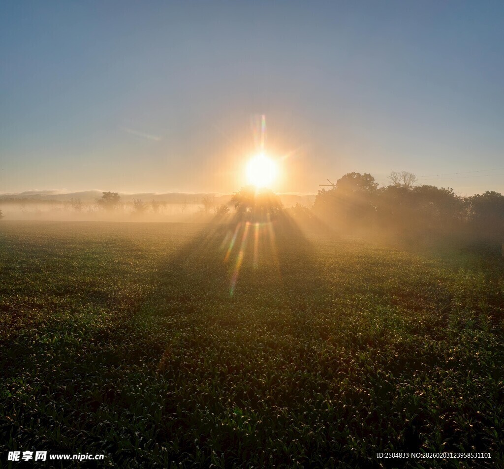 晨雾中日出的田野美景