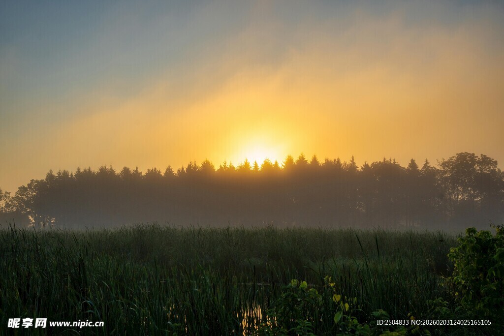 日出时分的田野风光