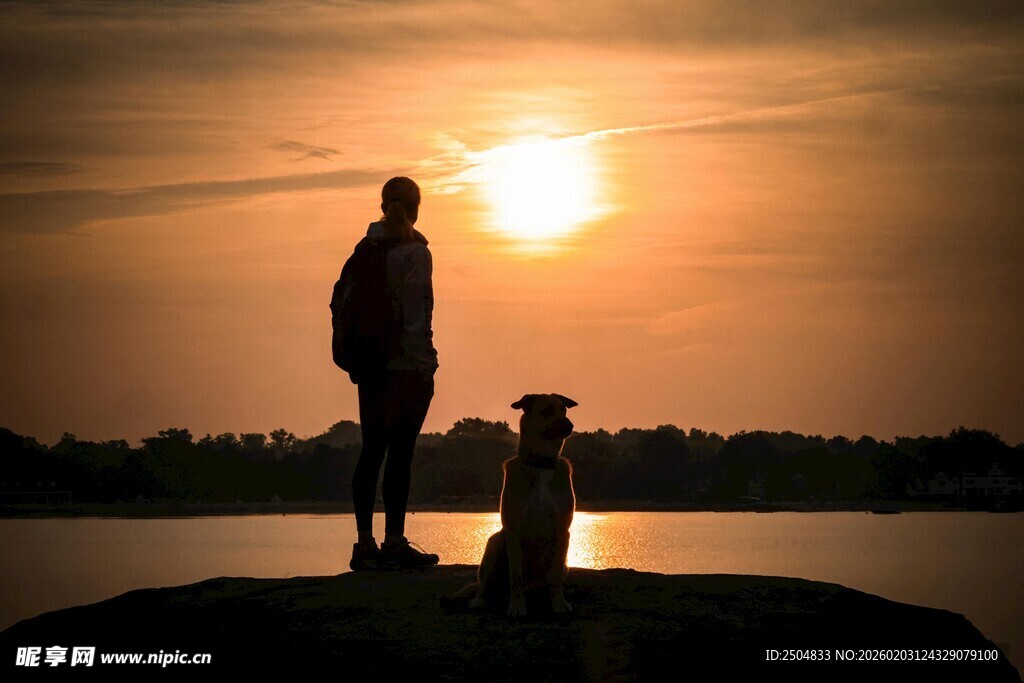 夕阳下人与狗的温馨剪影