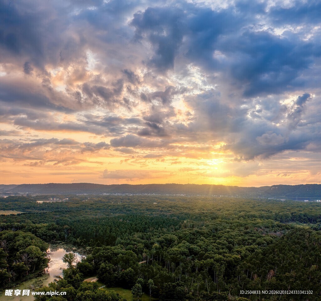 壮丽日出下的森林景观