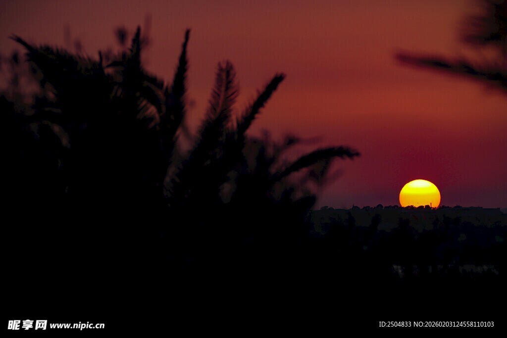 日落时分的剪影美景