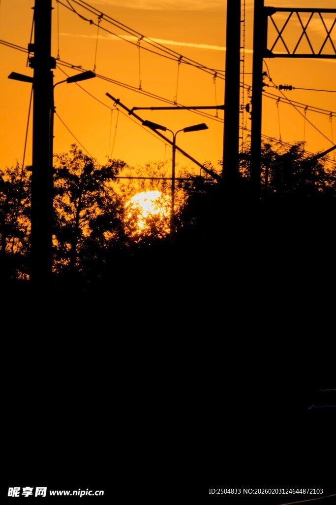 夕阳下的电线与树木剪影