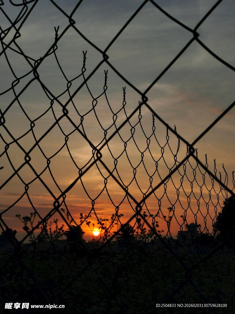 夕阳下的网状围栏景观