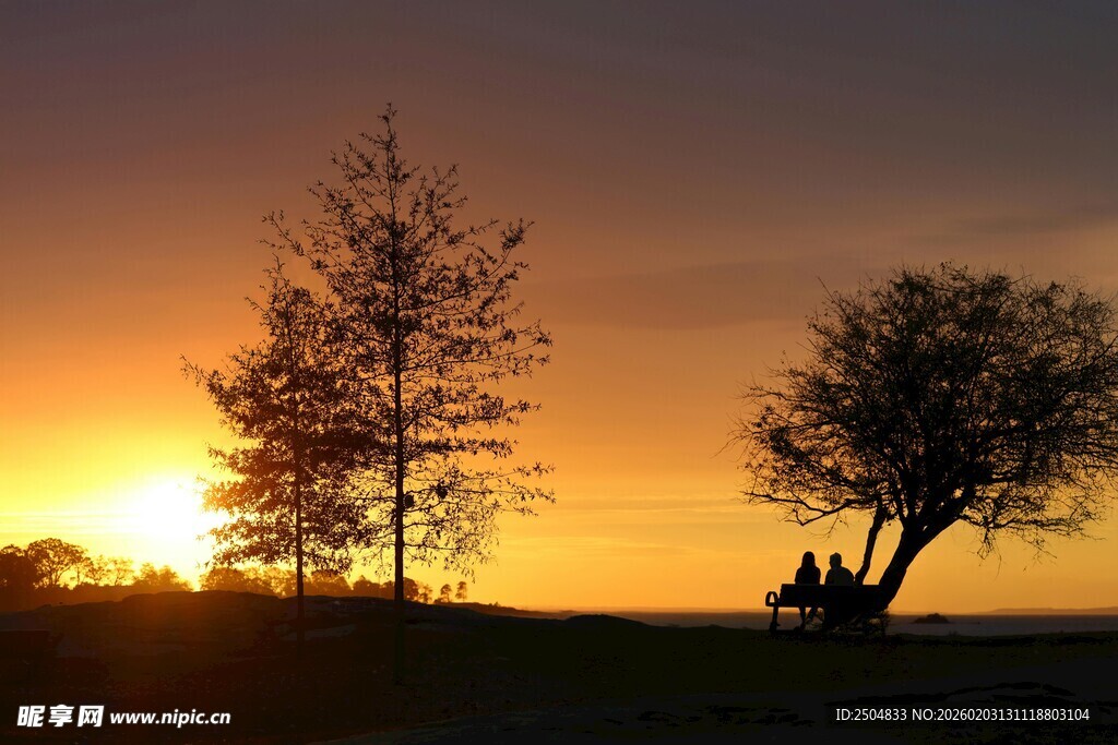 夕阳下的树木与美好景致