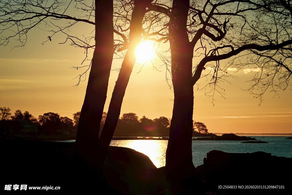 夕阳下的树木与波光粼粼
