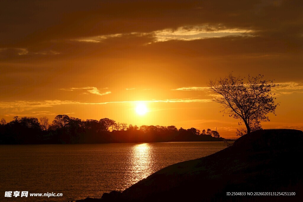 夕阳下湖畔孤树美景