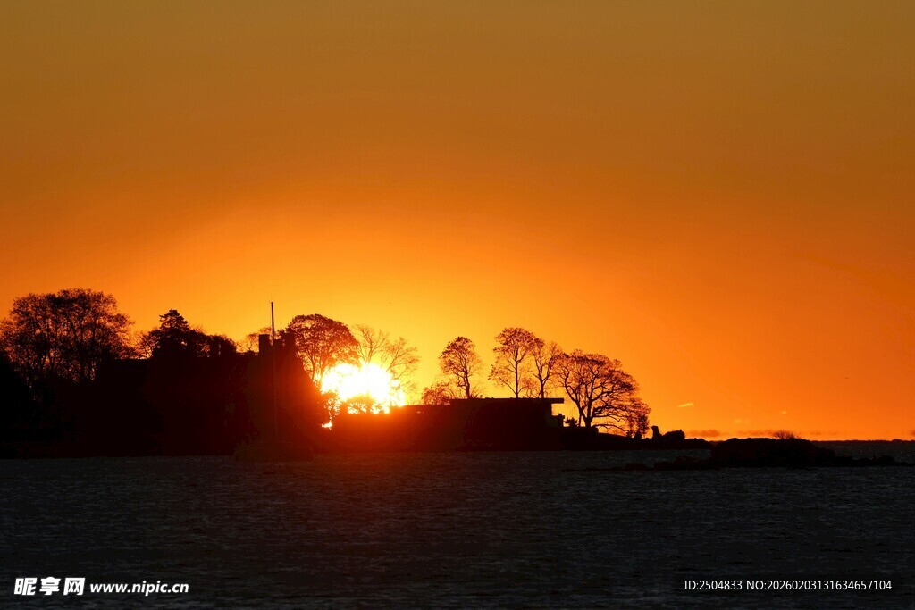 夕阳下的田野树木美景