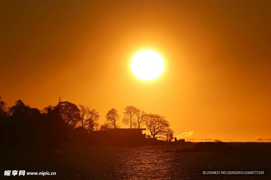 夕阳下的树木与开阔景致
