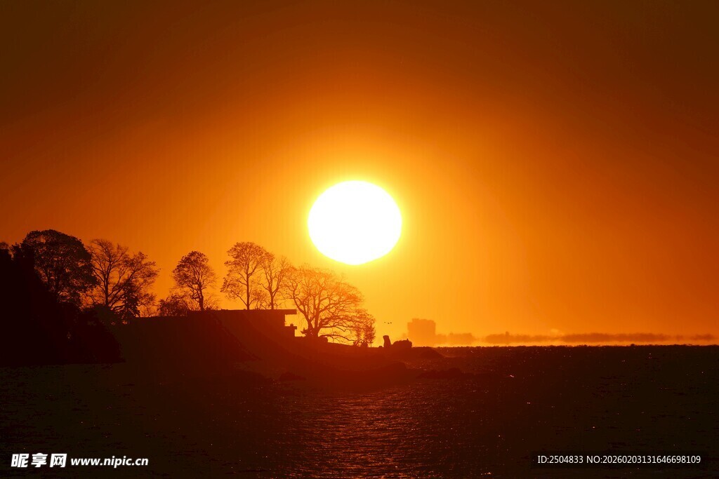 夕阳下的田野与树木