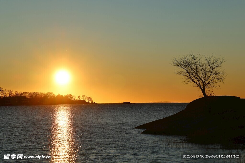夕阳下湖畔孤树美景