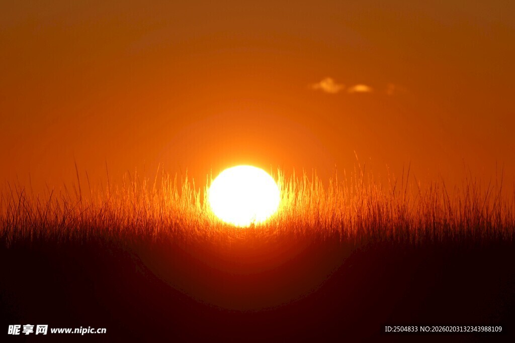 夕阳下的草地美景