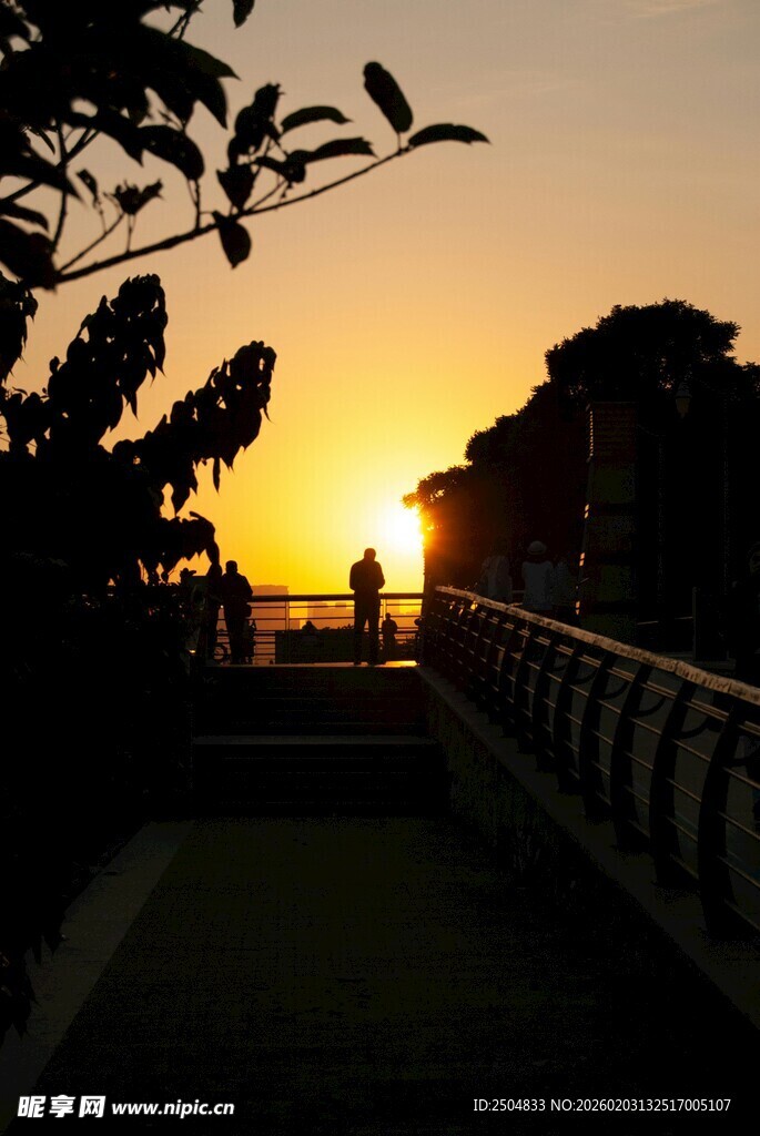 夕阳下的户外静谧景致