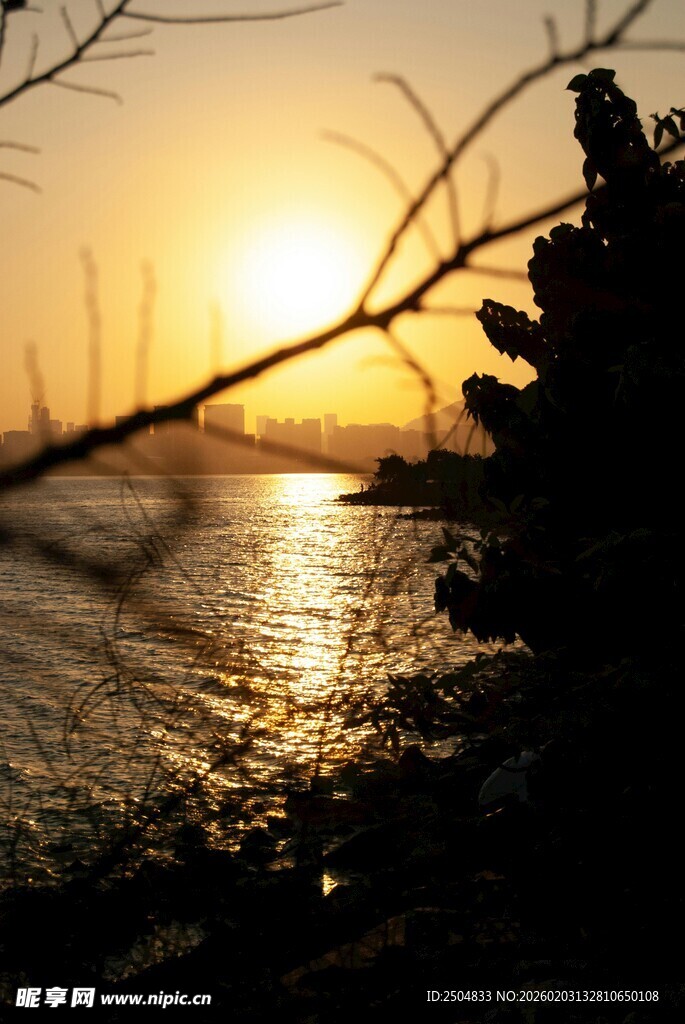 夕阳下波光粼粼的河畔景色