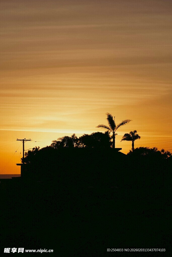 夕阳下的树木与风车剪影