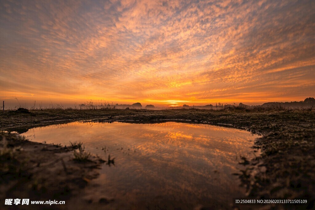 夕阳下的静谧水塘美景