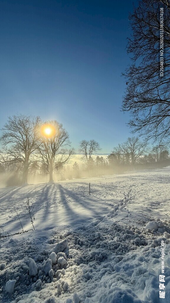 冬日雪野晨光美景