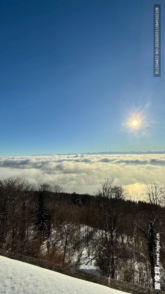 冬日雪后阳光照耀的开阔景致