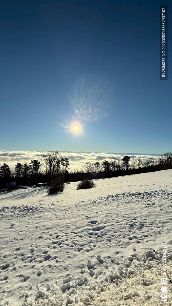 冬日雪野上的灿烂阳光