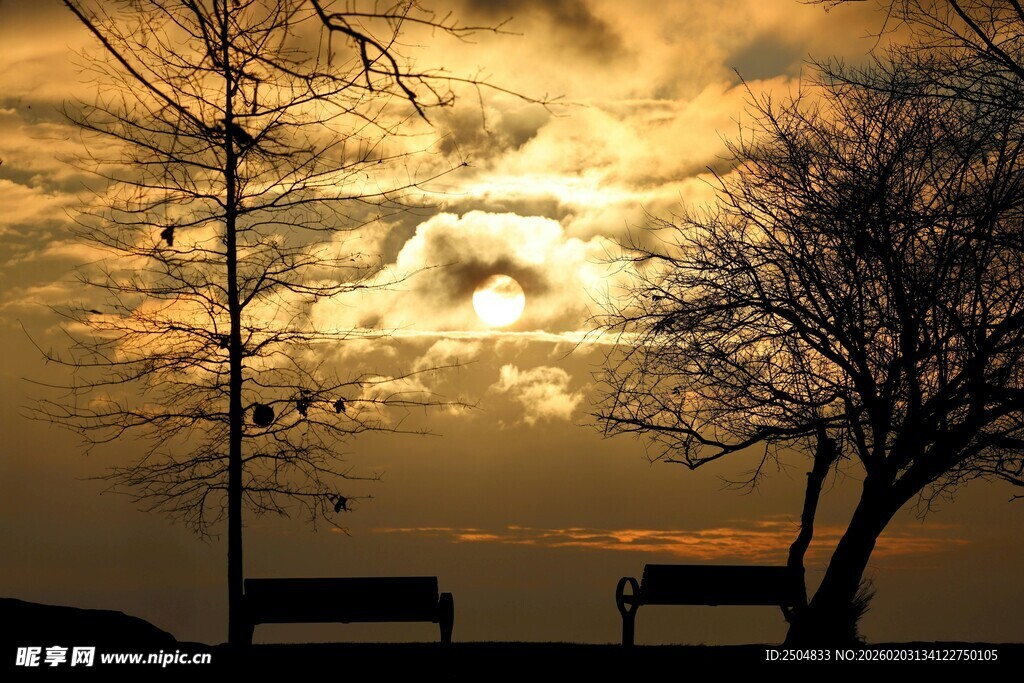黄昏下的树与长椅