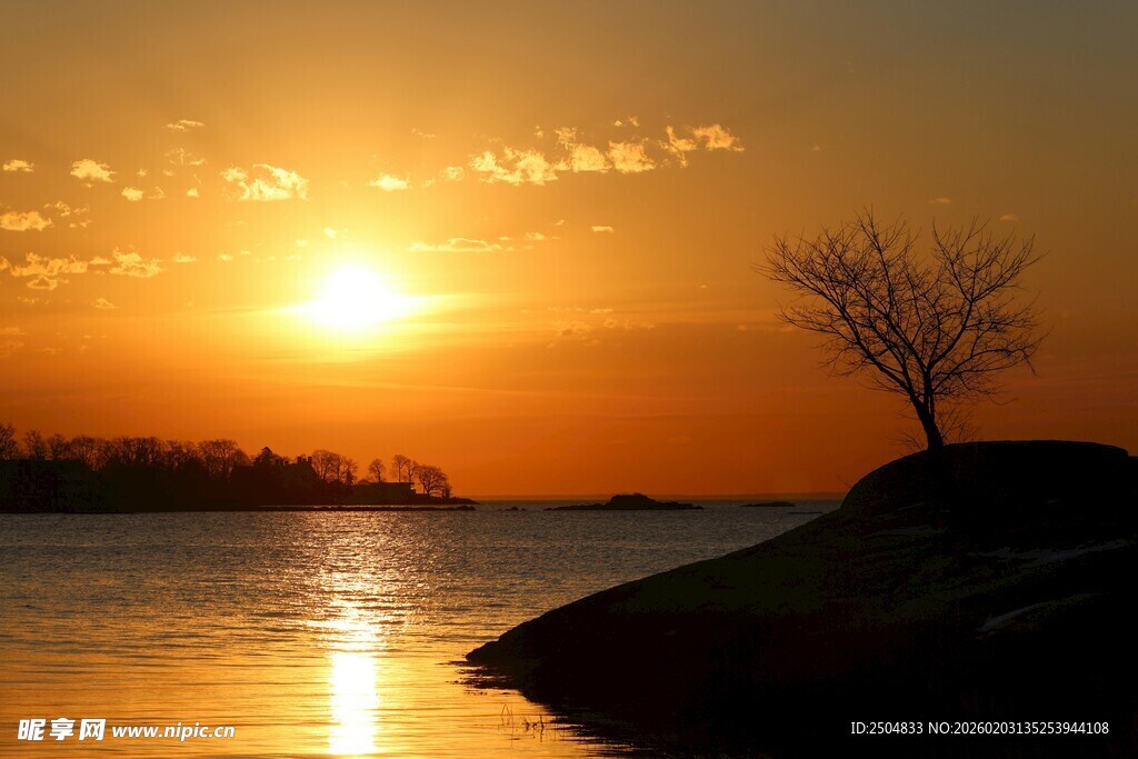 夕阳下湖畔孤树美景