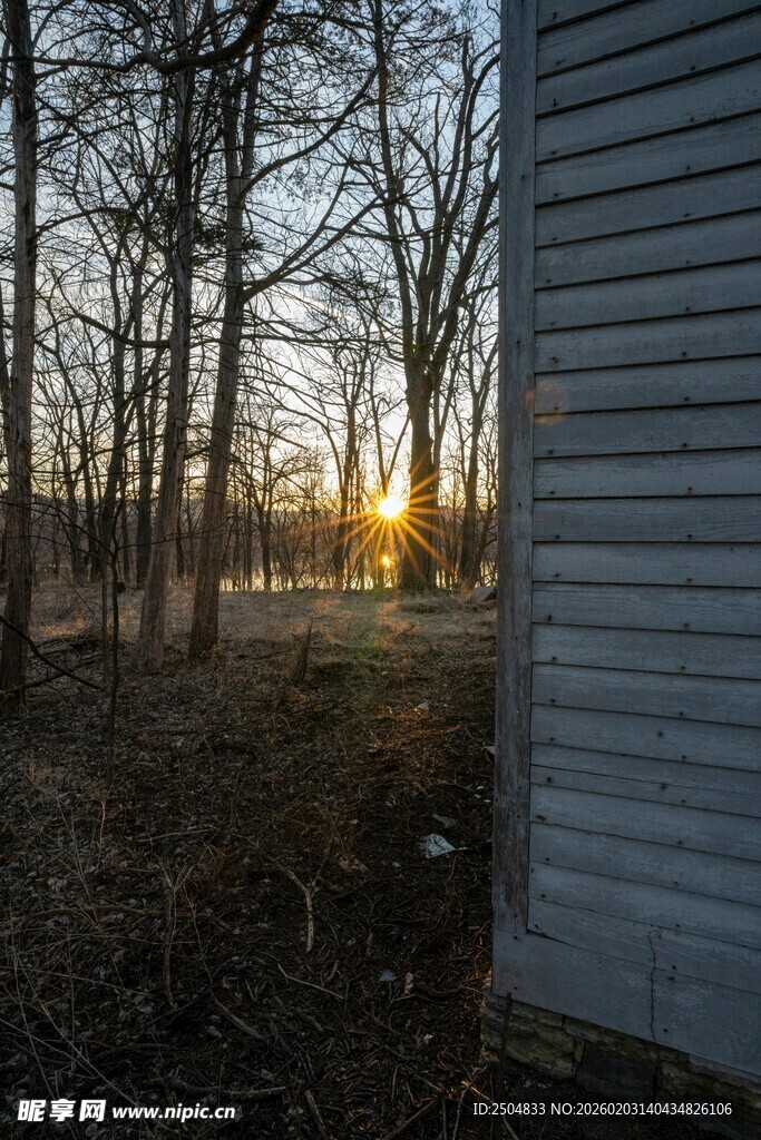 夕阳下林间小屋一角