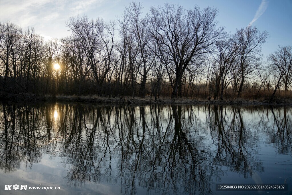 冬日湖畔静谧倒影