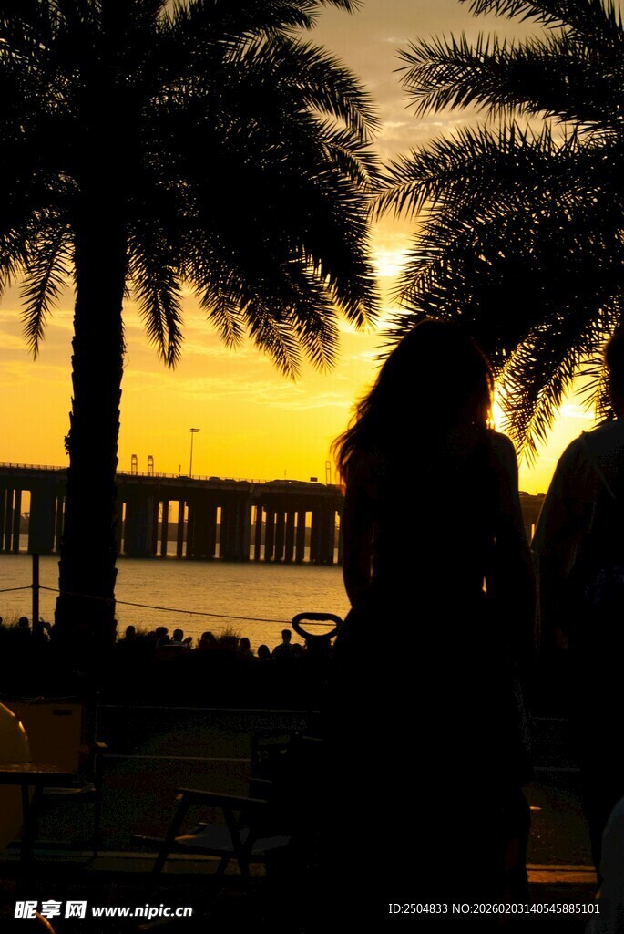 夕阳下的棕榈树与海滨剪影