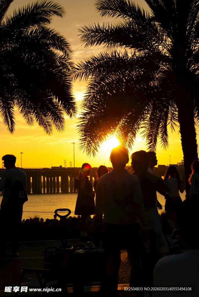 夕阳下的人群与棕榈树