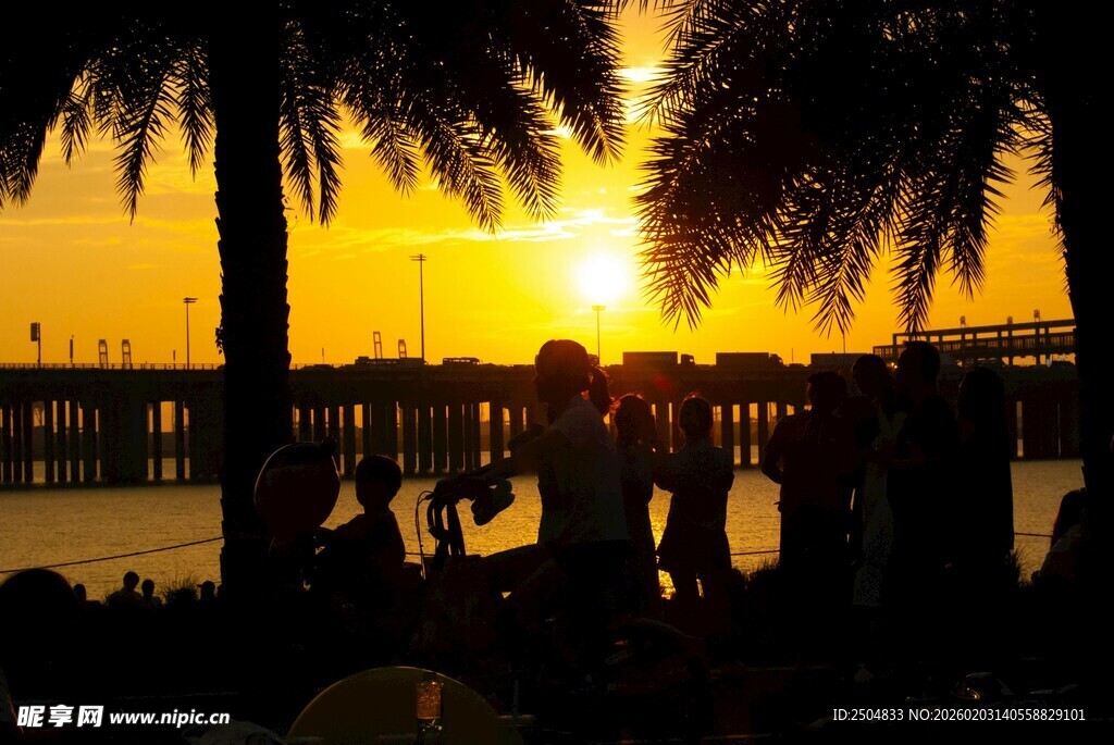 夕阳下的海滨与棕榈树