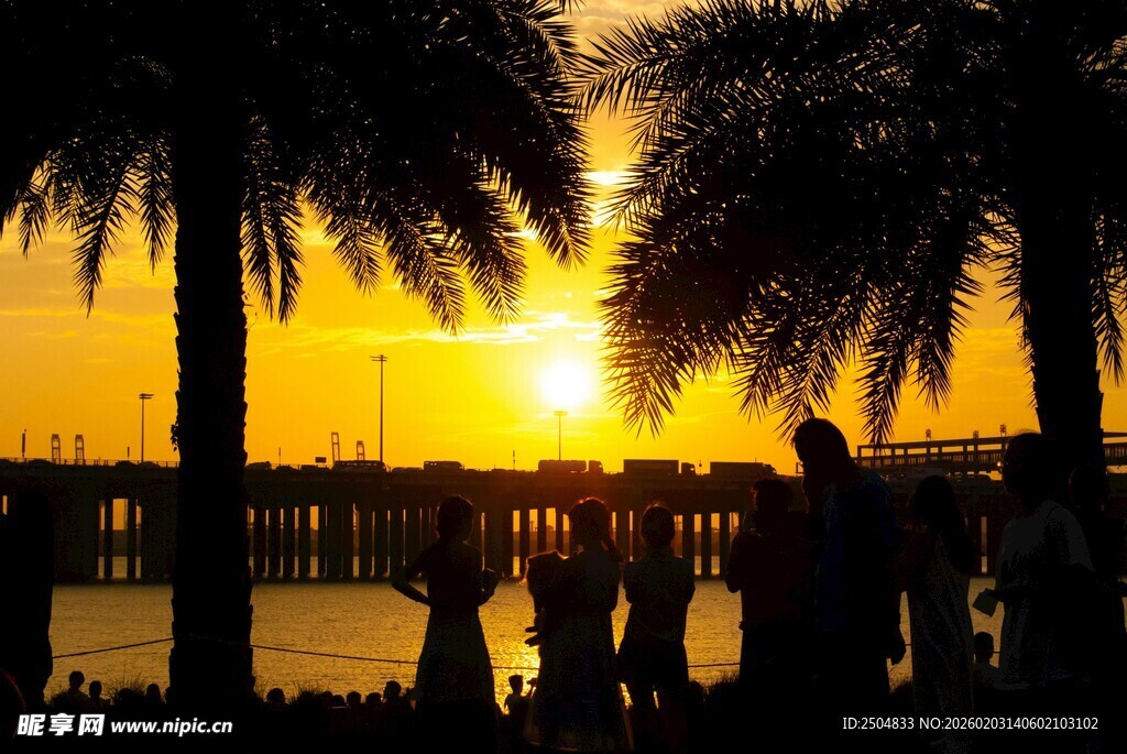 夕阳下的棕榈树与人物剪影