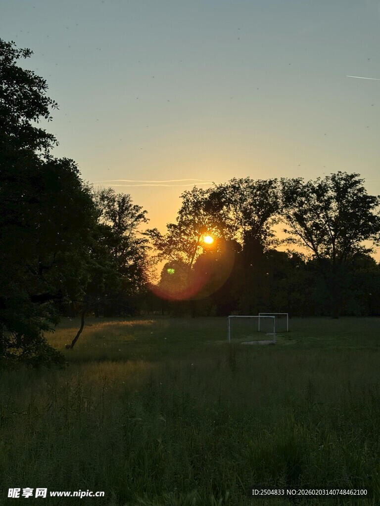 夕阳下的草地与树木景观