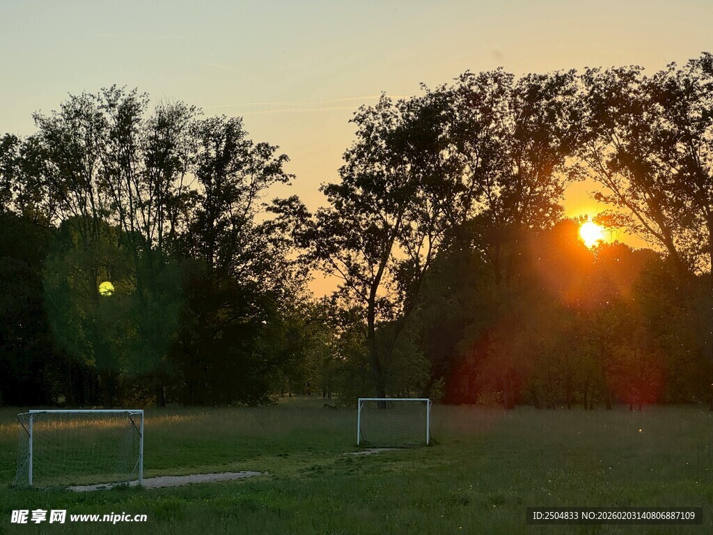 夕阳下的绿茵场与树木