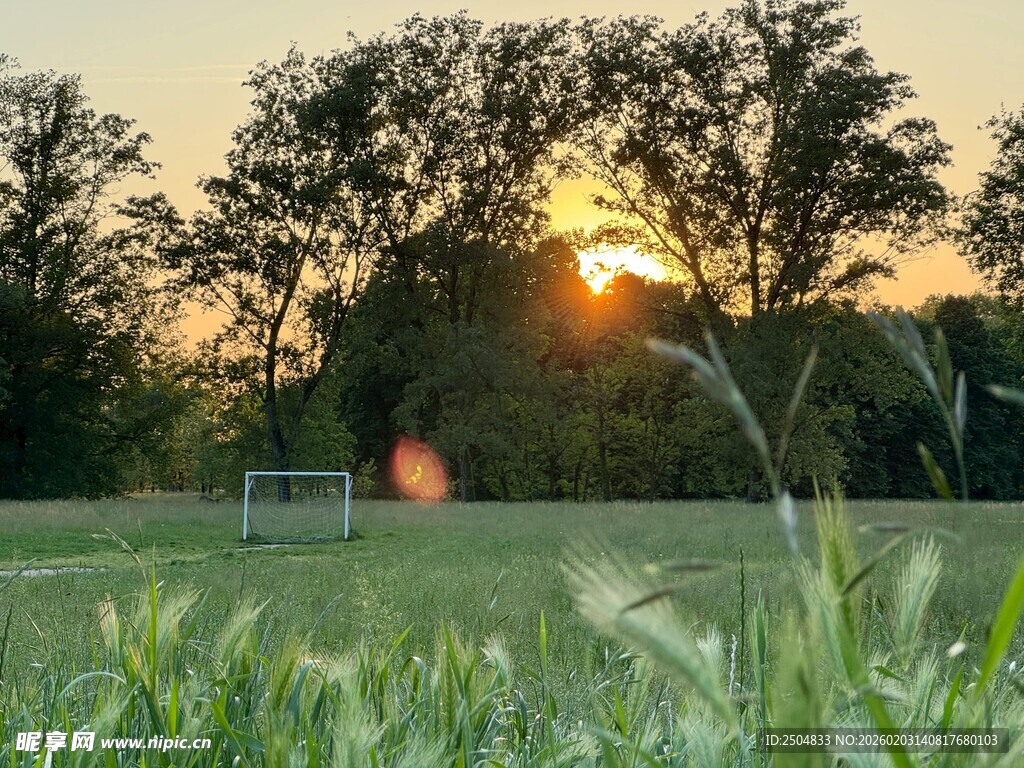 夕阳下的绿茵场与树木