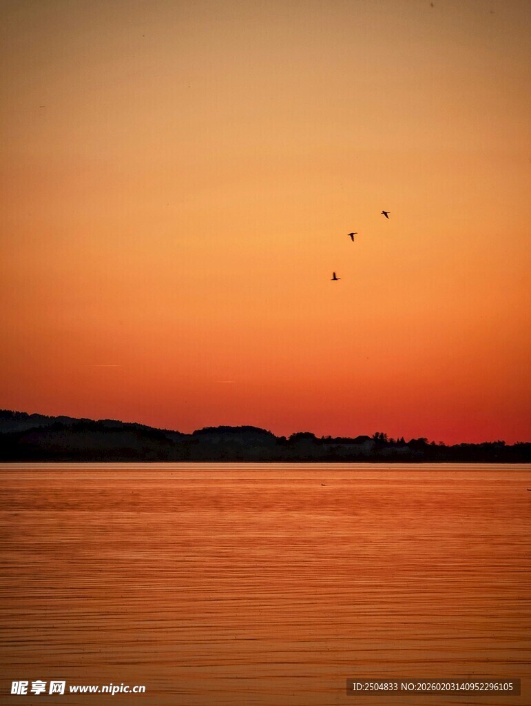 夕阳下的水面与飞鸟