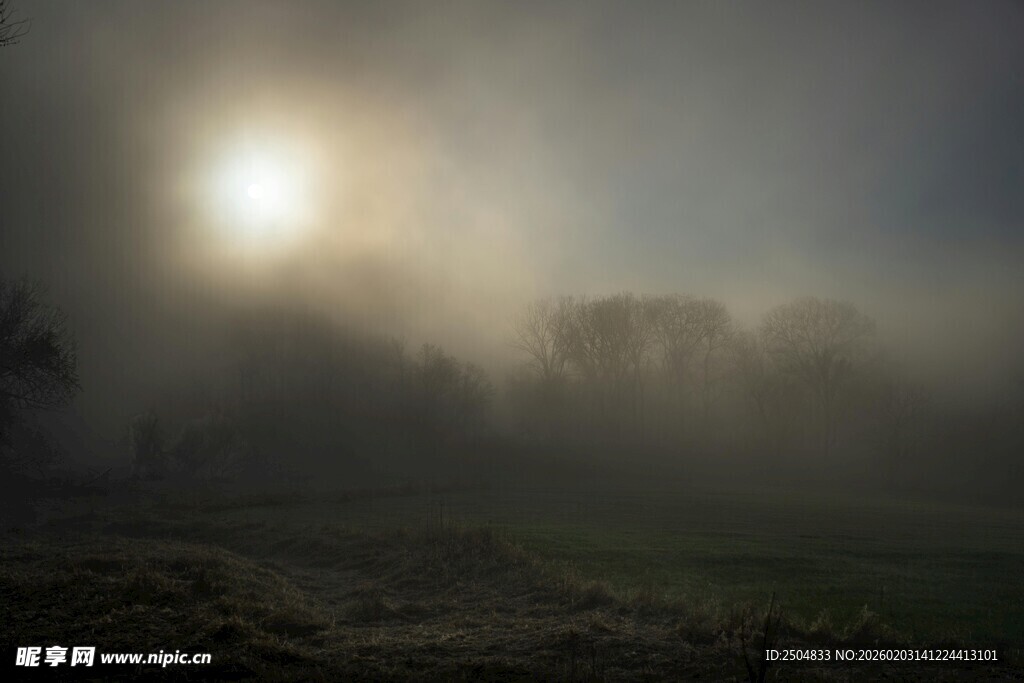 晨雾中的日出景象