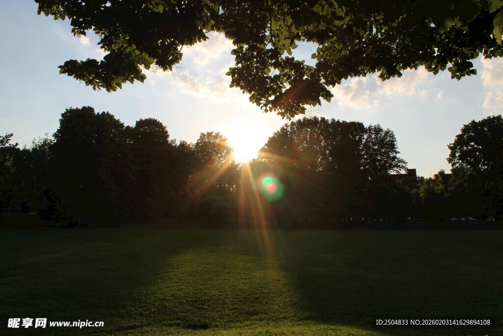夕阳透过树林洒下光芒
